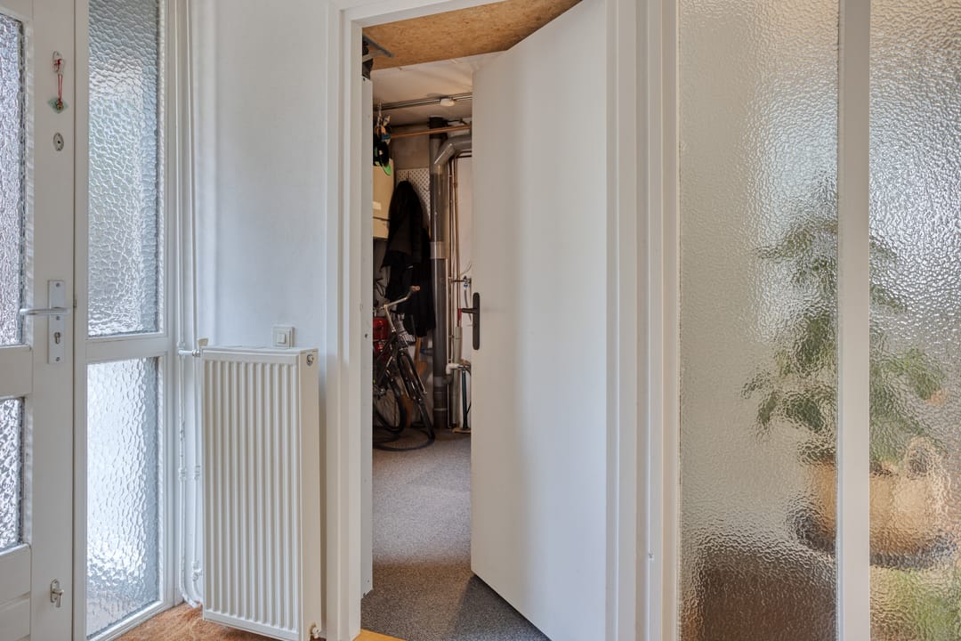 Foto 8 van Boswachtersveld 517