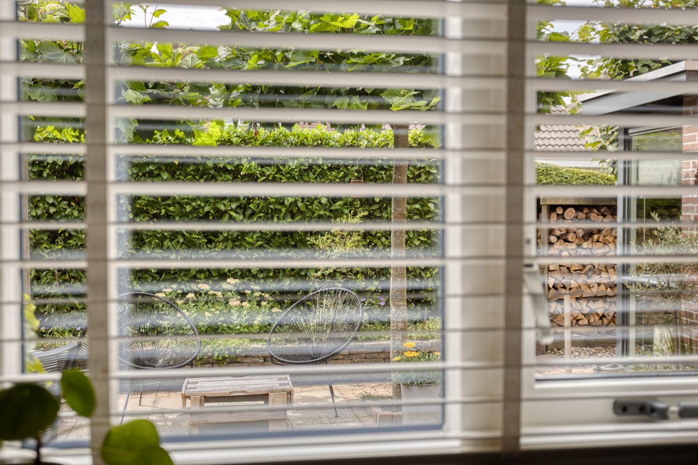 Foto 20 van Boswachtersveld 517