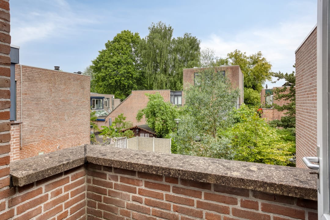 Foto 32 van Boswachtersveld 517