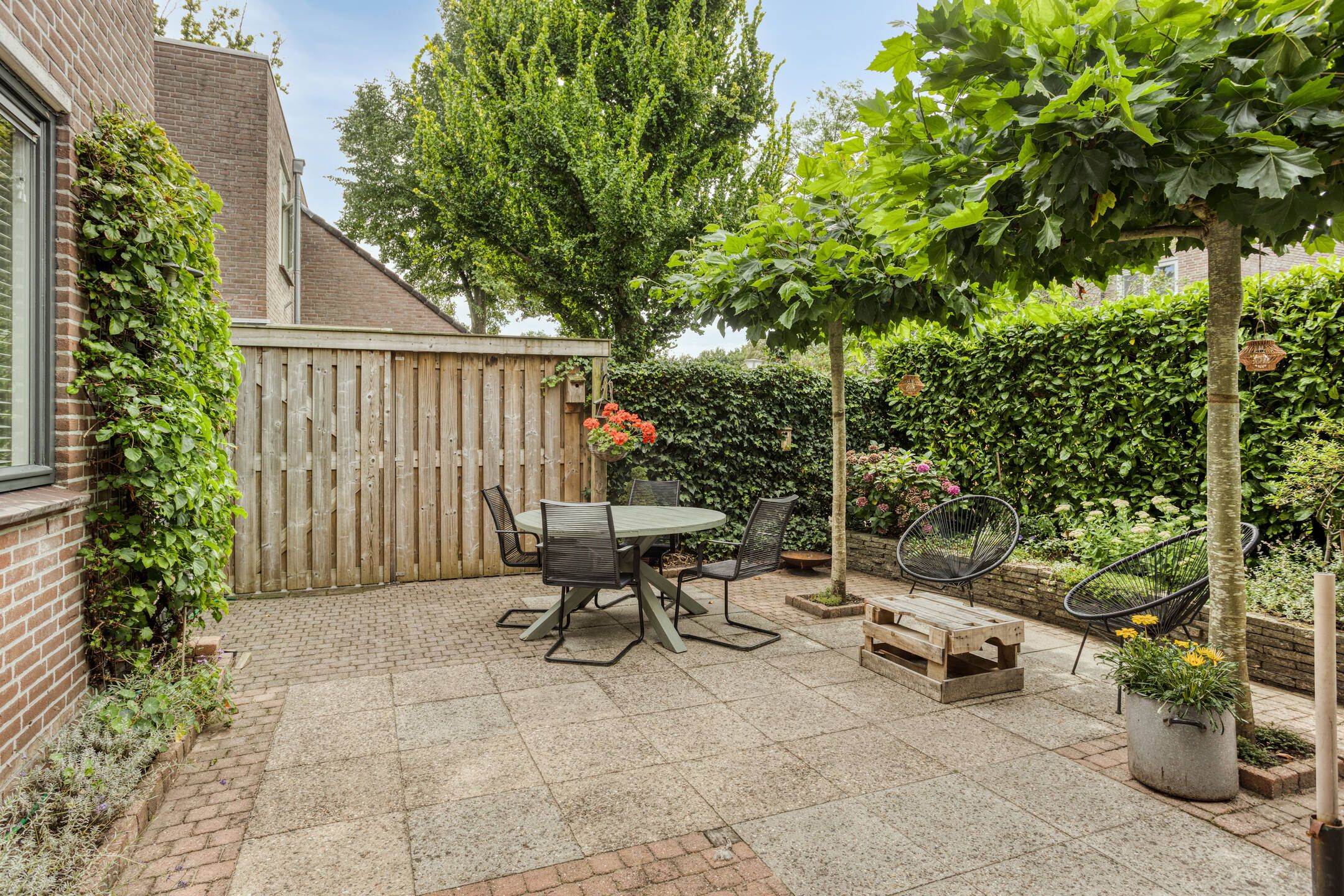 Foto 36 van Boswachtersveld 517