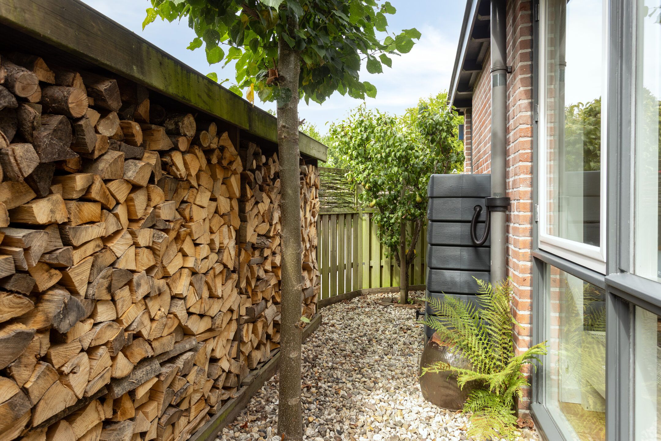 Foto 39 van Boswachtersveld 517