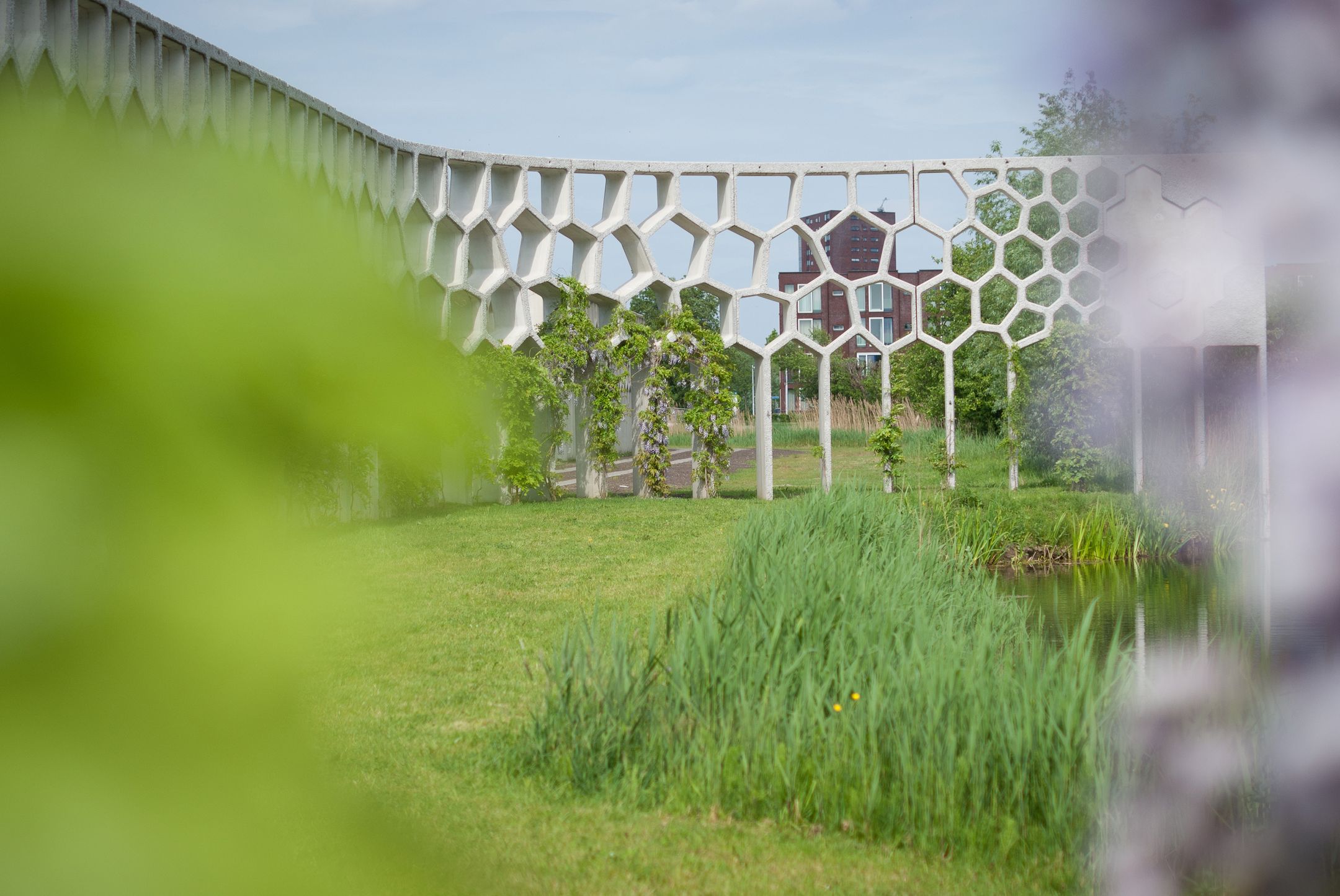 Foto 54 van De Reit 8