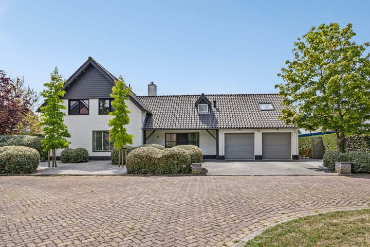 Photo 2 of Steenbok 5