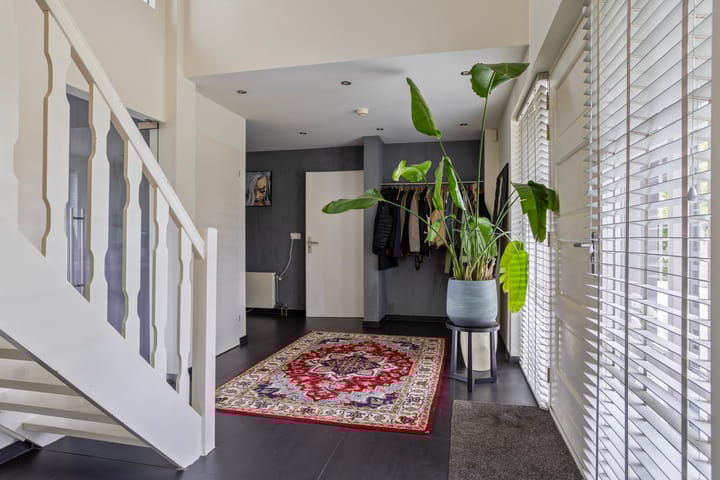 Photo 4 of Steenbok 5