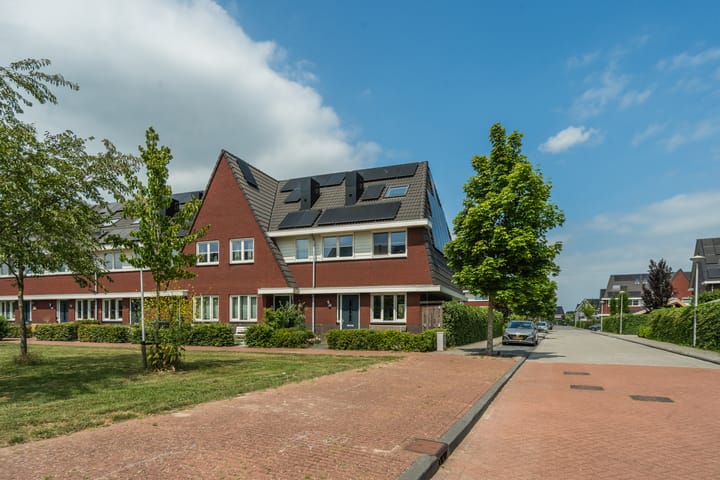 Foto 1 van Zilverschoon 30