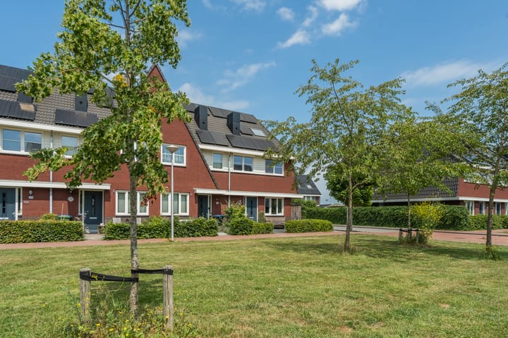 Foto 8 van Zilverschoon 30