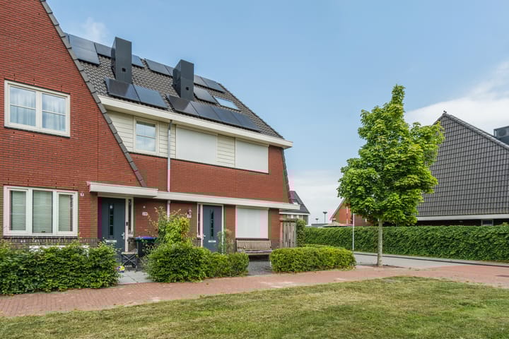 Foto 9 van Zilverschoon 30