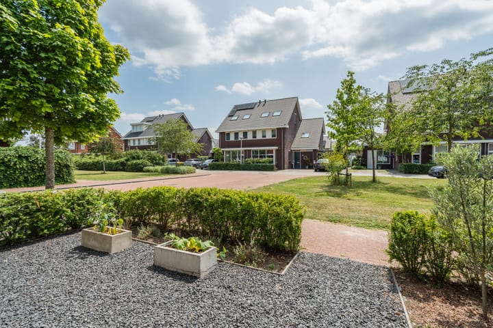 Foto 12 van Zilverschoon 30