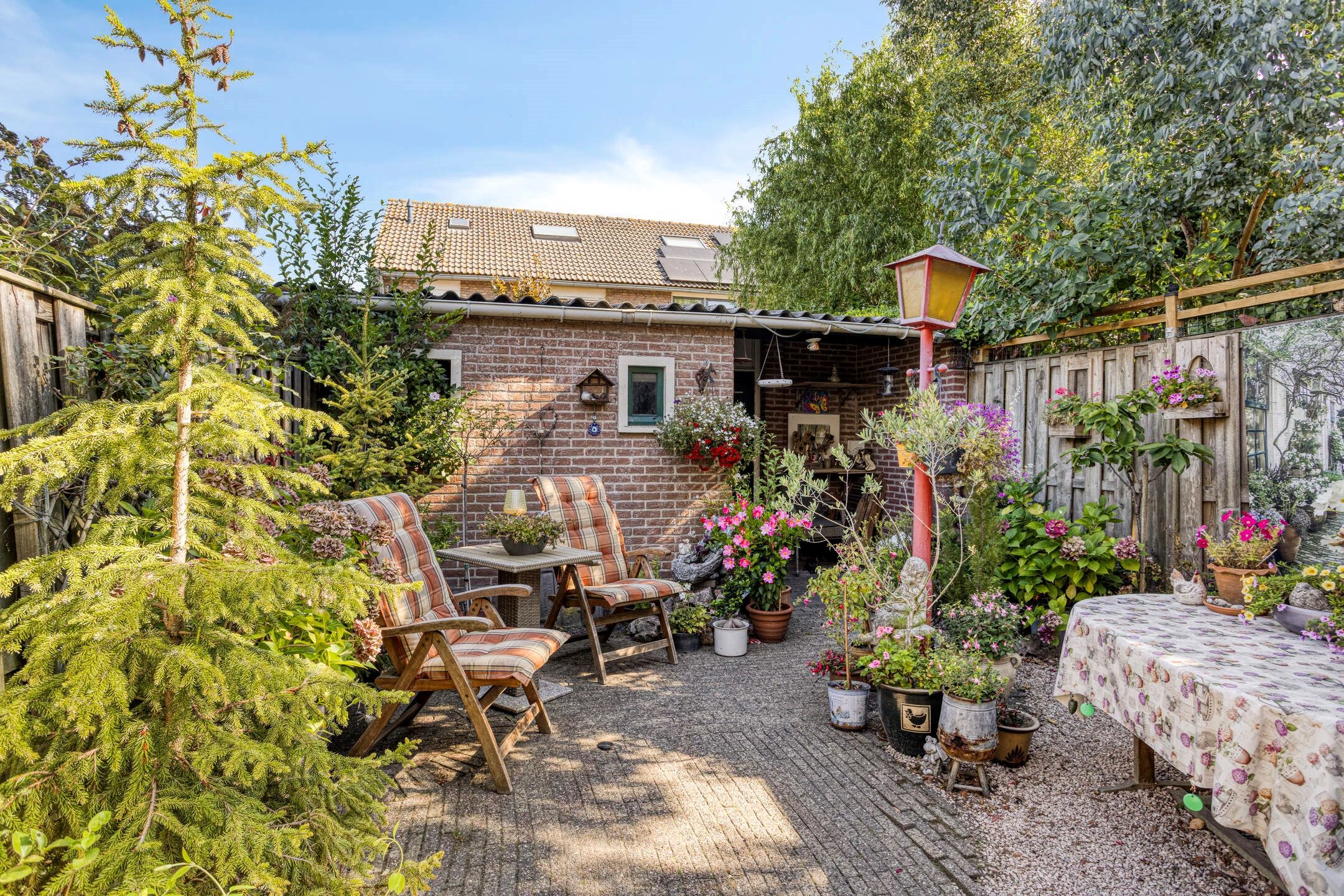 Foto 3 van Bergmolen 3