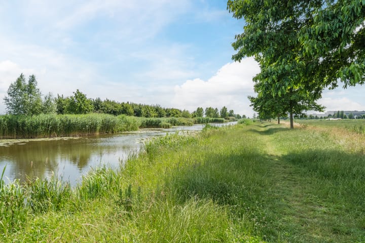 Foto 59 van Zilverschoon 30