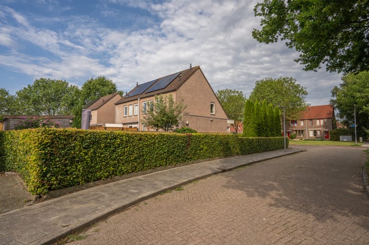 Foto 8 van Roegoorn 50