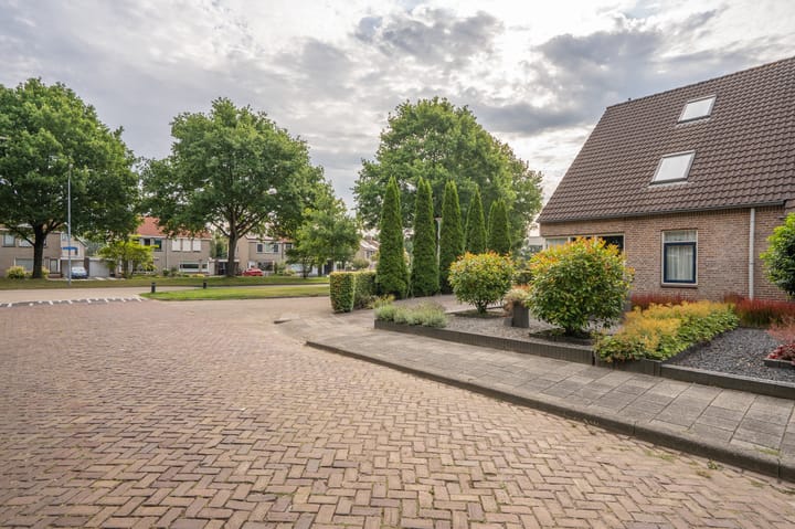 Foto 9 van Roegoorn 50