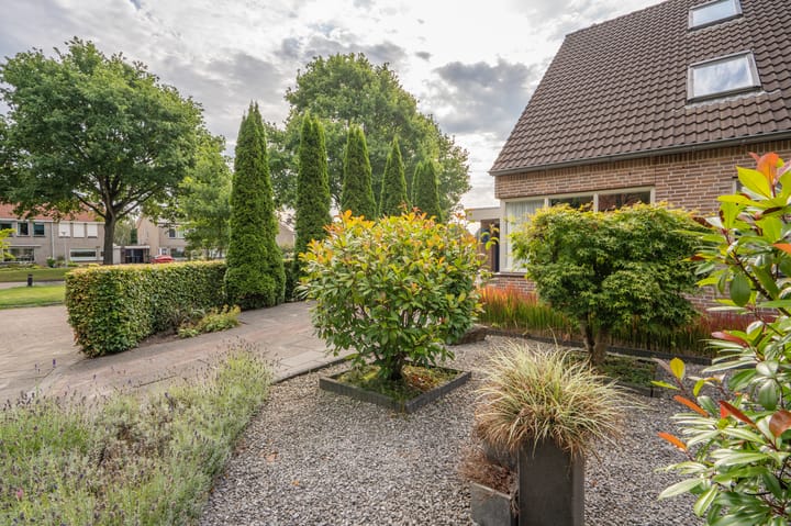 Foto 10 van Roegoorn 50