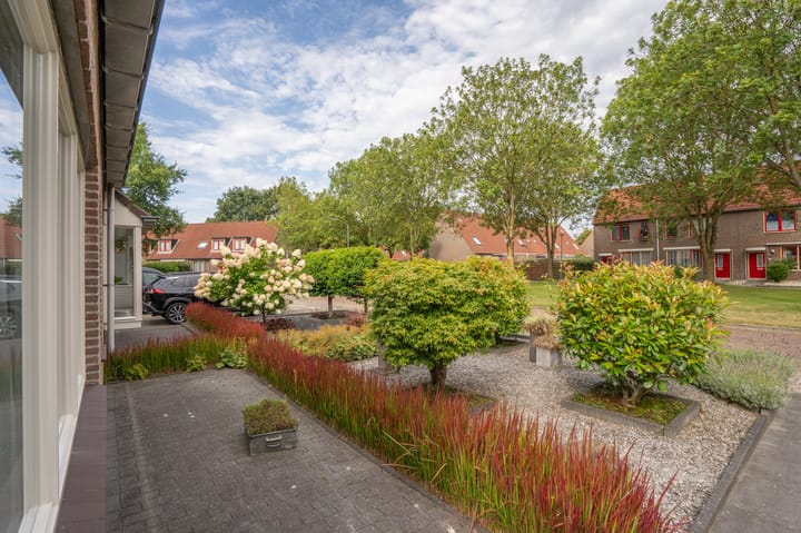 Foto 12 van Roegoorn 50