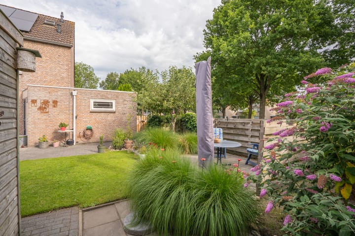 Foto 50 van Roegoorn 50