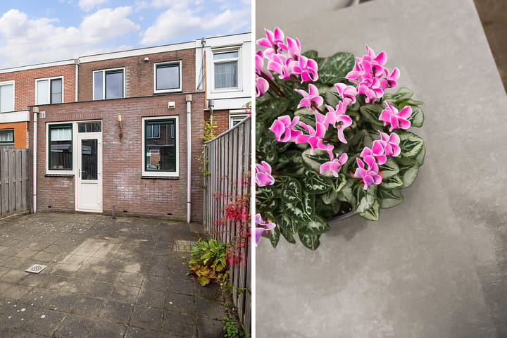 Foto 15 van Kedoestraat 12