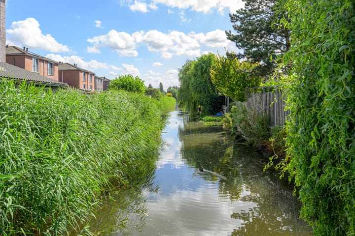 Foto 32 van Binnenkruier 27