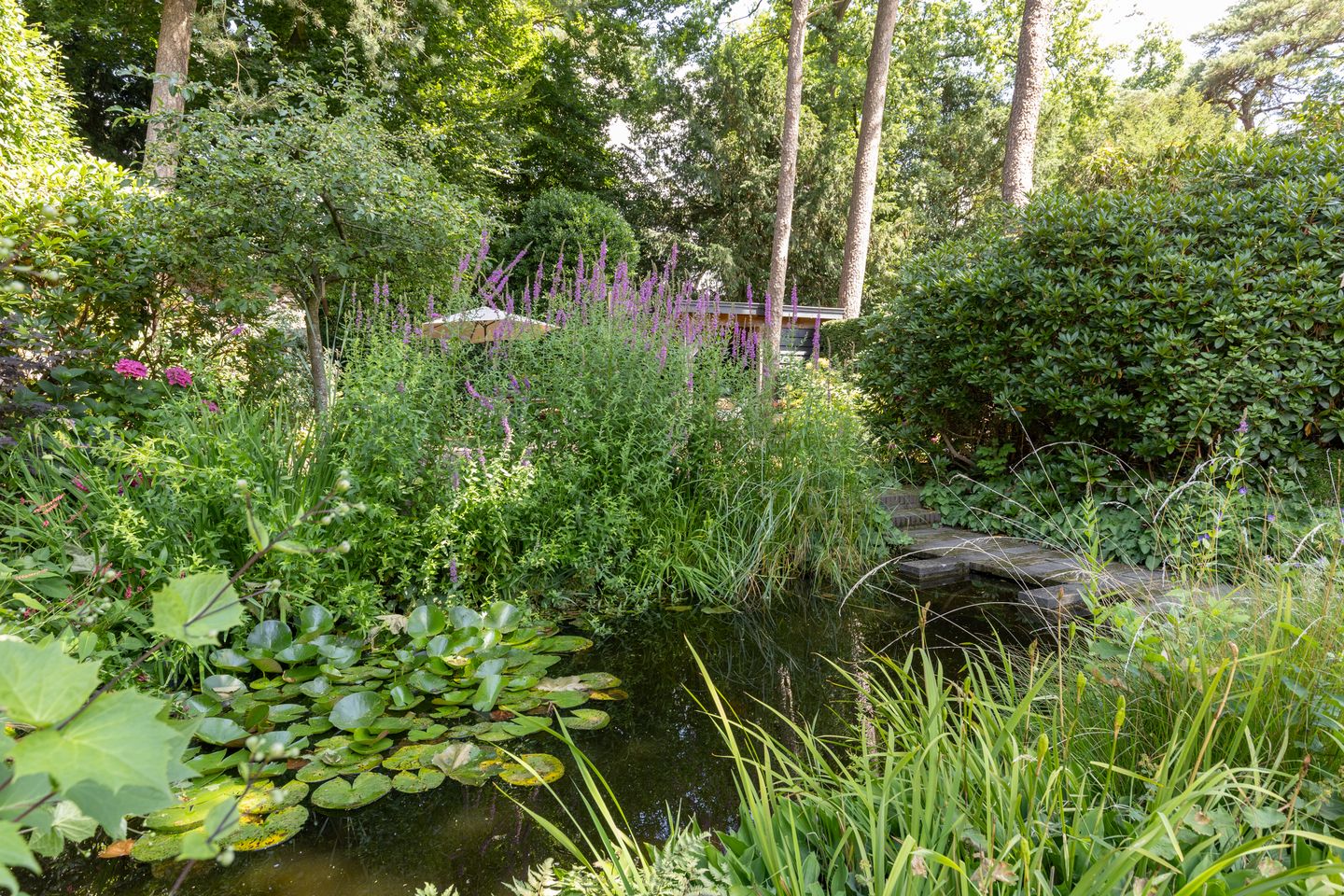 Foto 49 van Zweerslaan 15