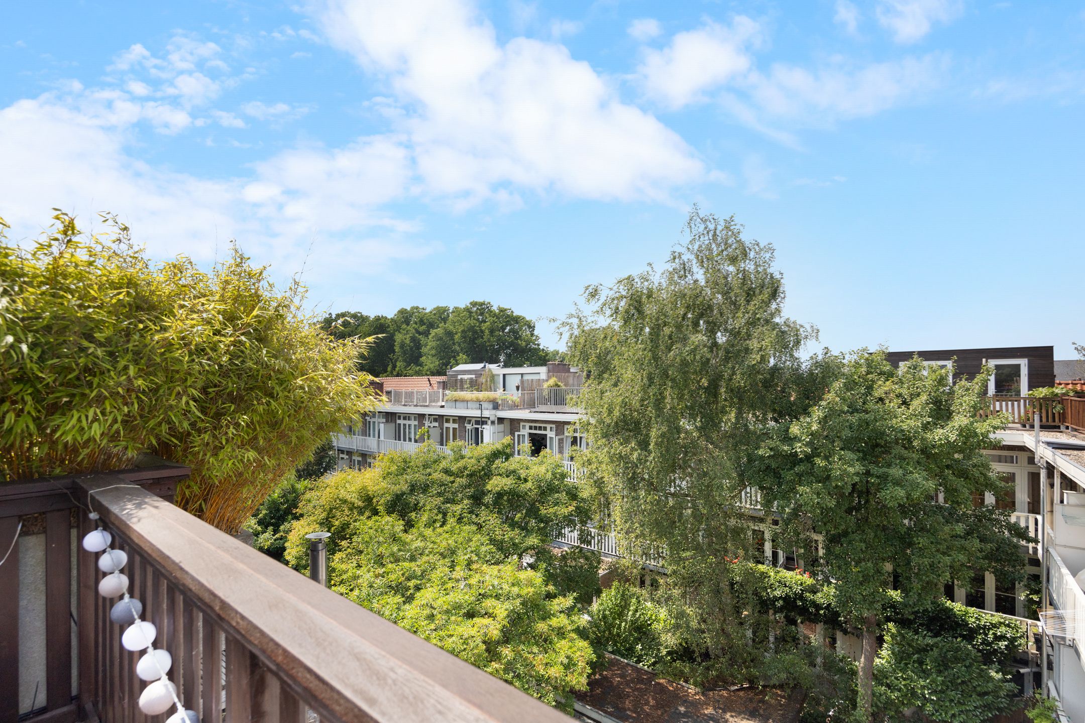 Foto 42 van Johannes van der Waalsstraat 101-1