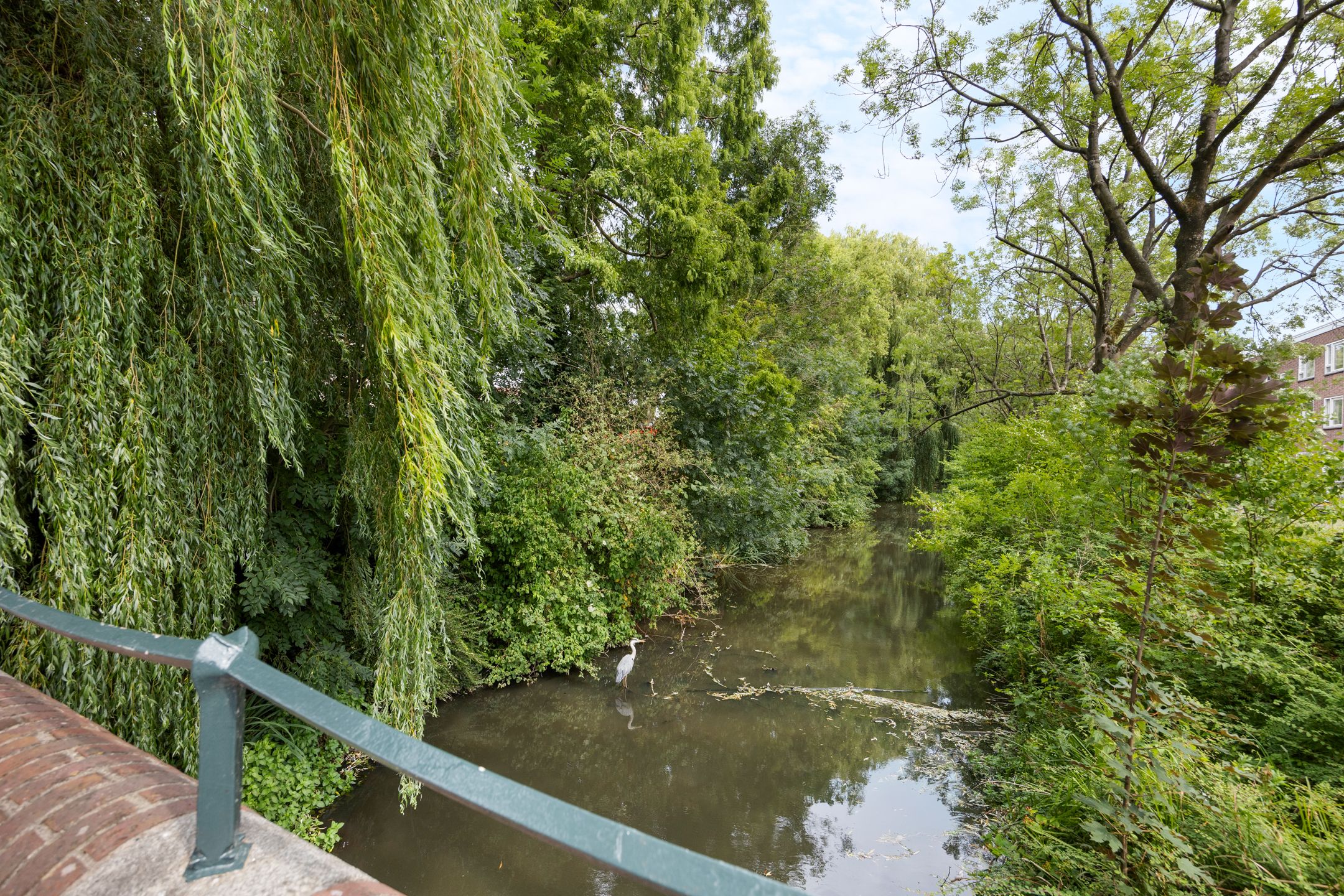 Foto 51 van Johannes van der Waalsstraat 101-1