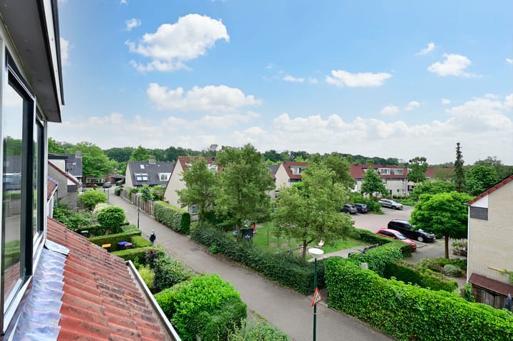 Foto 27 van Vogelmelk 3