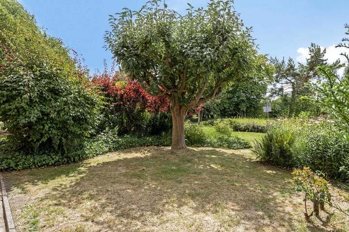 Foto 28 van Abdijstraat 10