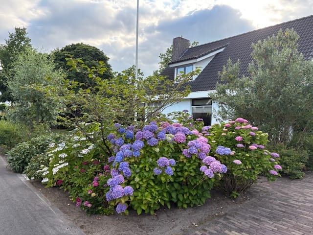 Foto 66 van Hugo Thijssensplein 1