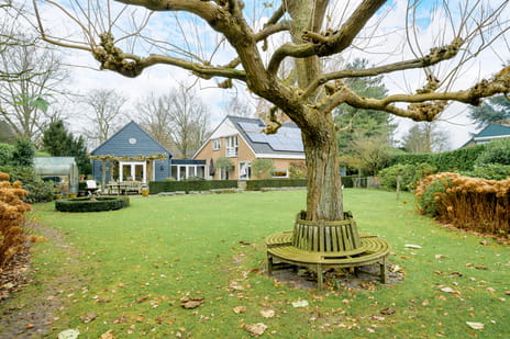 Ameroever 64 secondary image