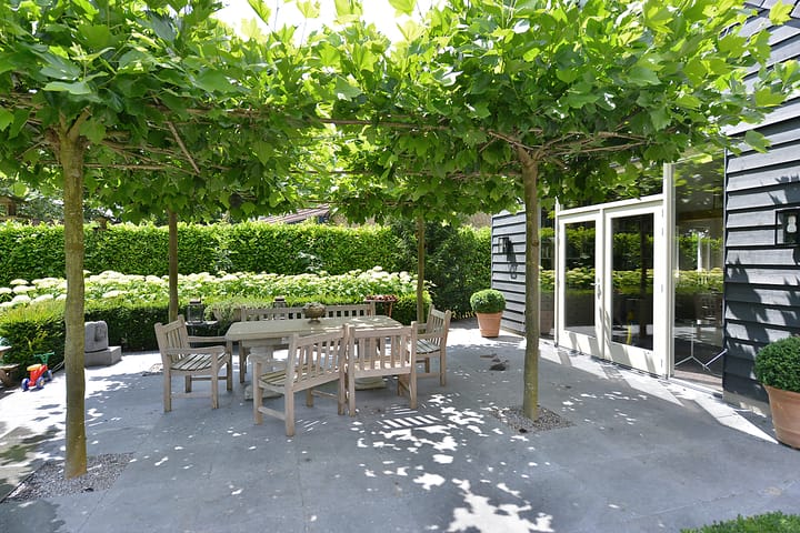 Photo 43 of Ameroever 64