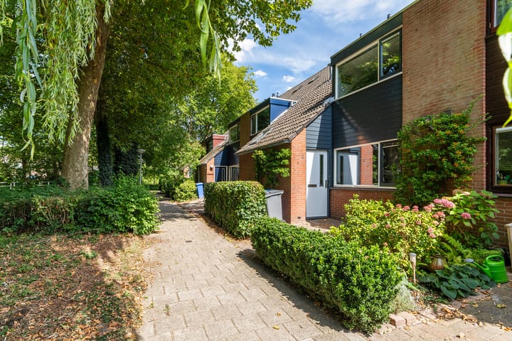 Foto 5 van Salamanderpad 2