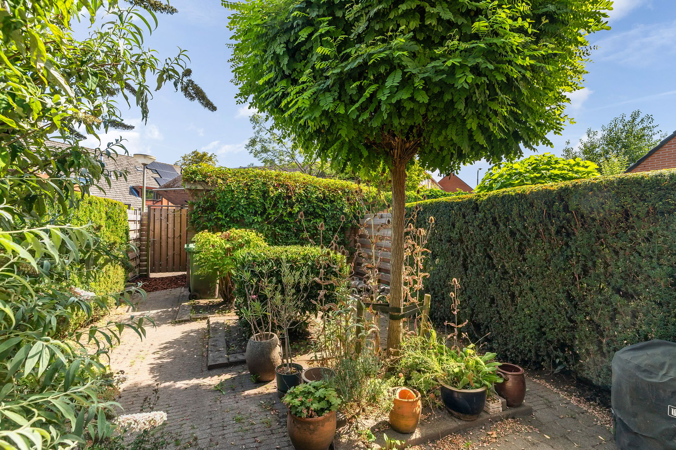 Foto 12 van Salamanderpad 2