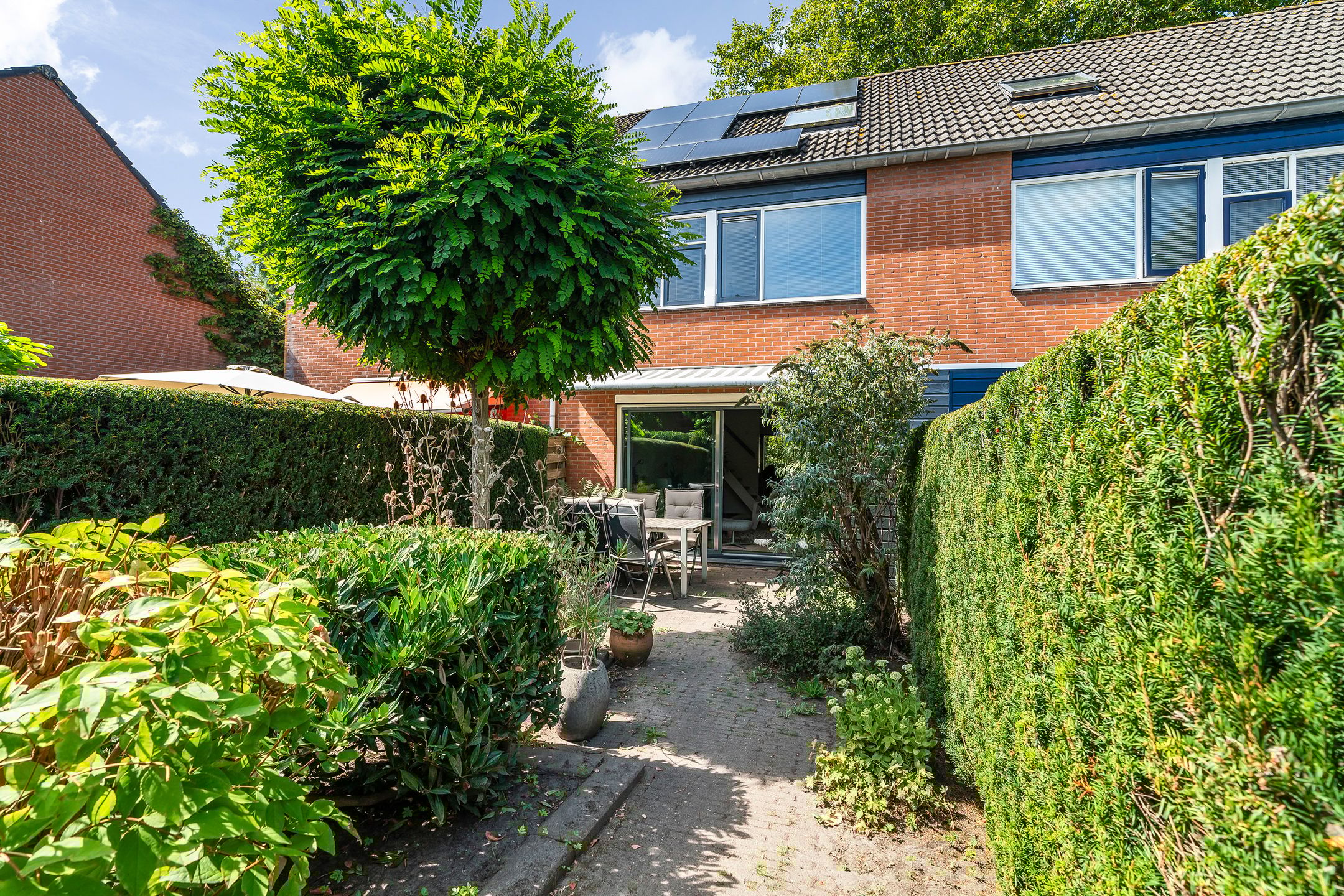 Foto 15 van Salamanderpad 2