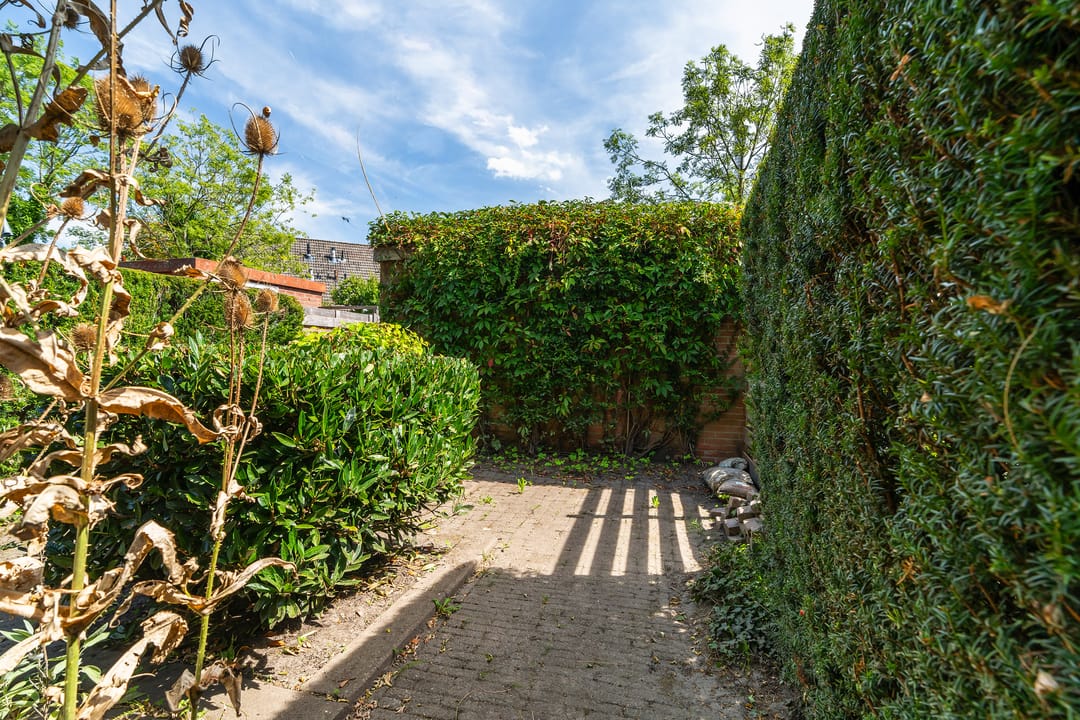 Foto 17 van Salamanderpad 2