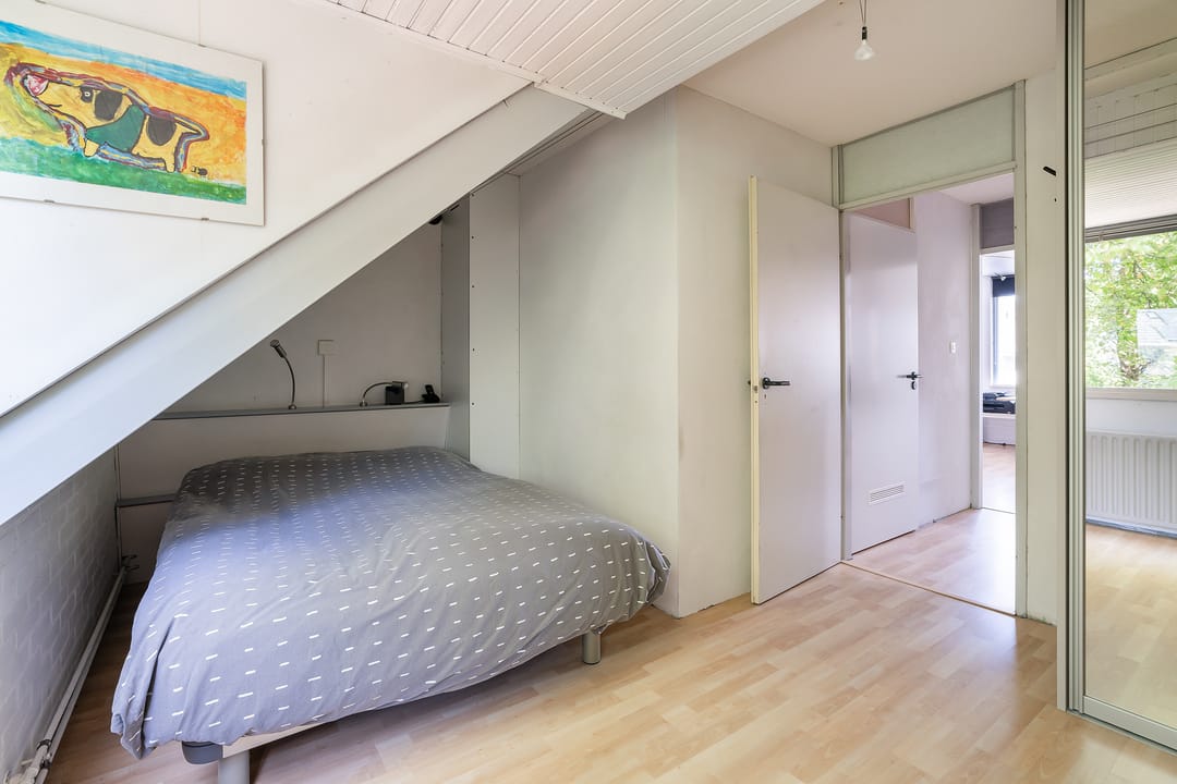 Foto 31 van Salamanderpad 2