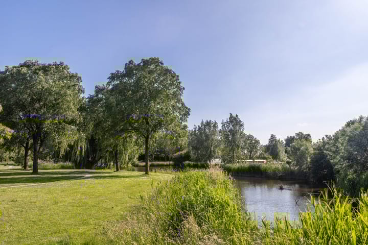 Foto 43 van Roerdompstraat 23