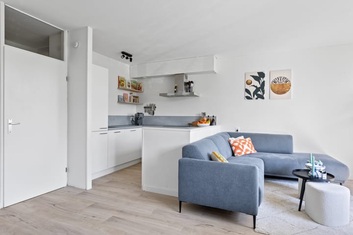 Foto 15 van Jacob Obrechtstraat 45