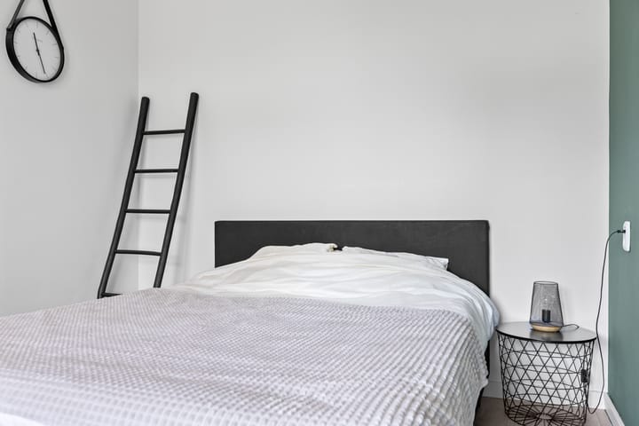 Foto 21 van Jacob Obrechtstraat 45