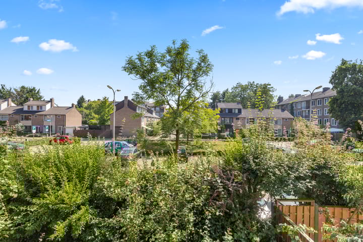 Foto 28 van Jacob Obrechtstraat 45