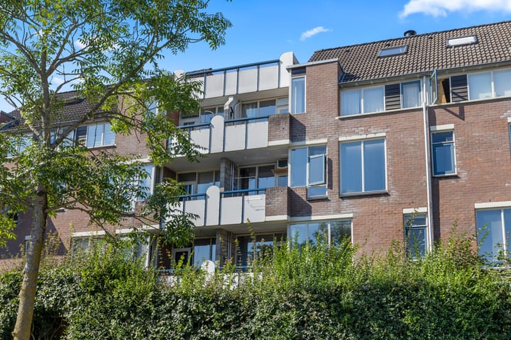 Foto 39 van Jacob Obrechtstraat 45