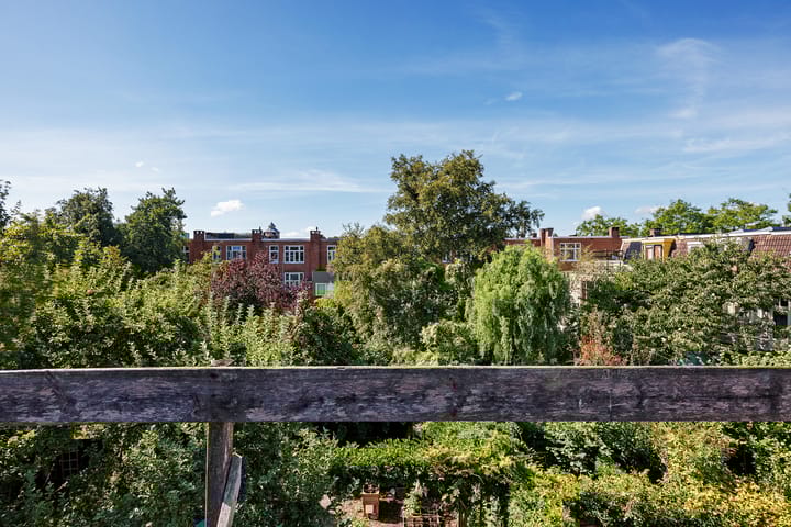 Foto 42 van Sabangplein 18-A