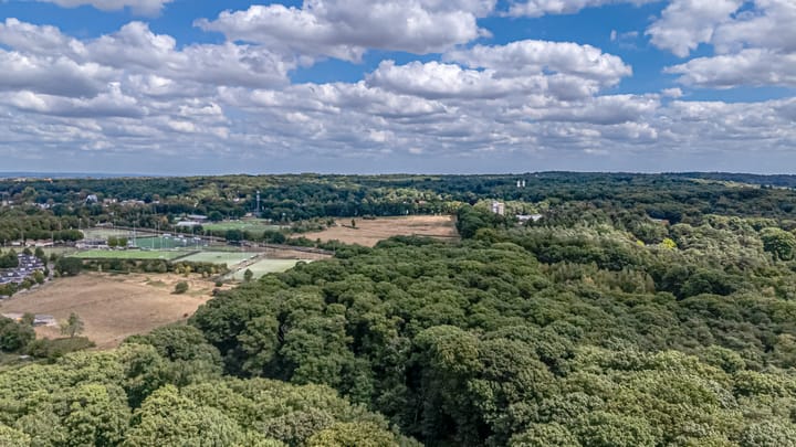 Foto 74 van Driehuizerweg 380