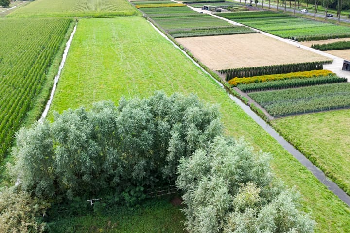 Foto 52 van Hogeveenseweg 5