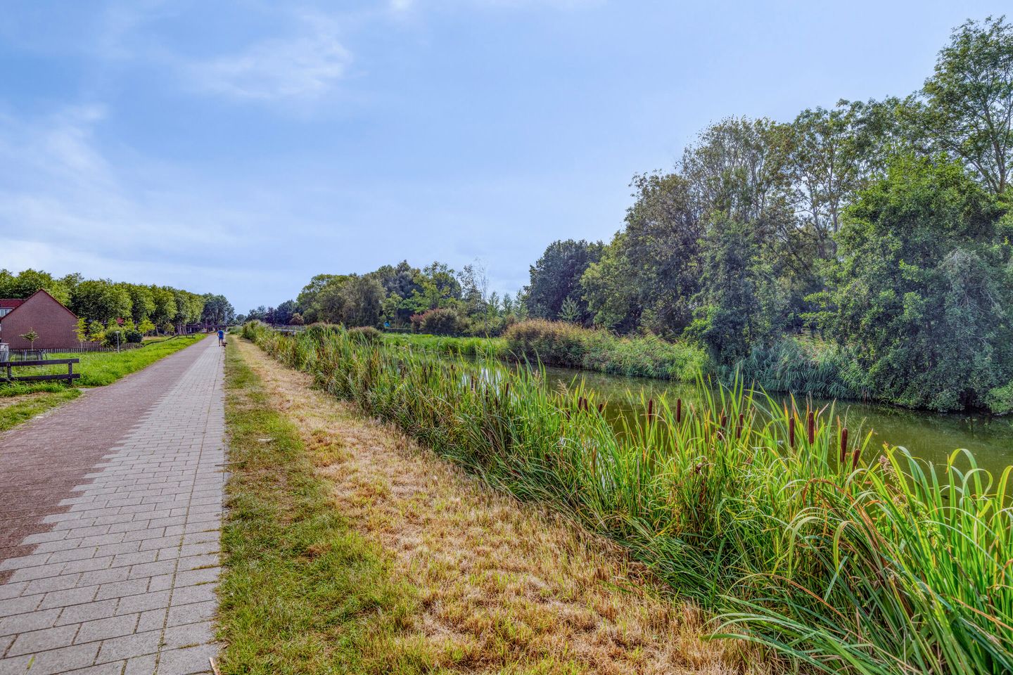 Photo 5 of Buizerdveld 151