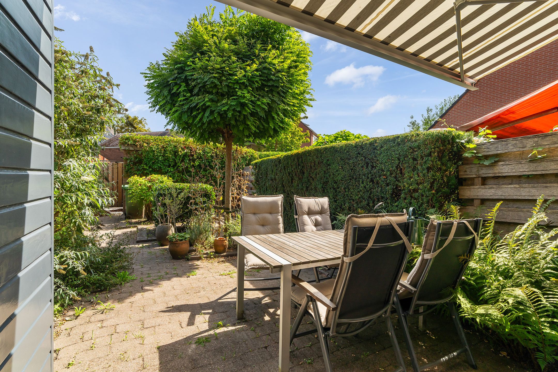 Foto 3 van Salamanderpad 2