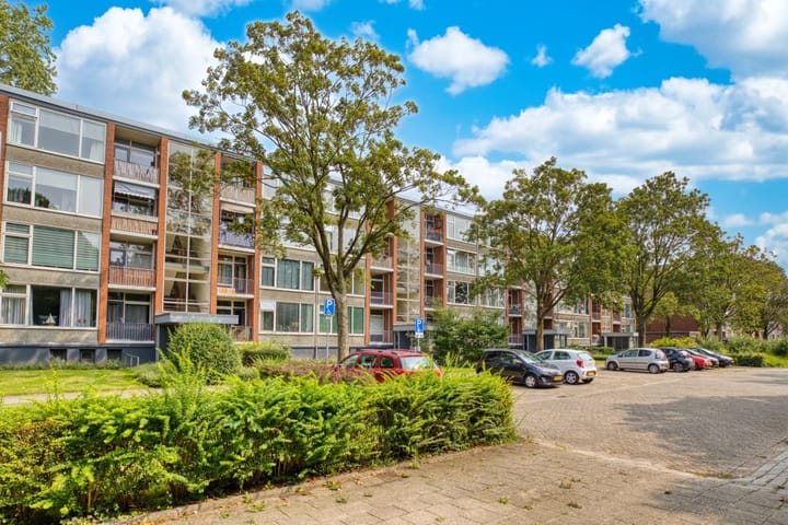 Foto 1 van Berkel 48