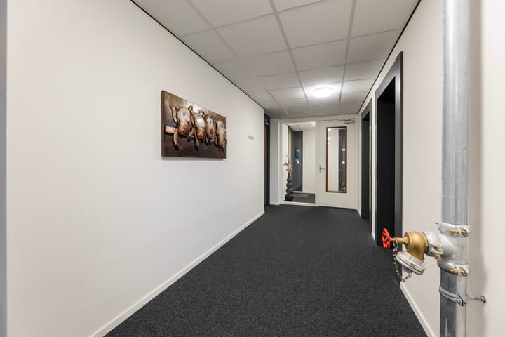 Foto 9 van Apolloplein 113