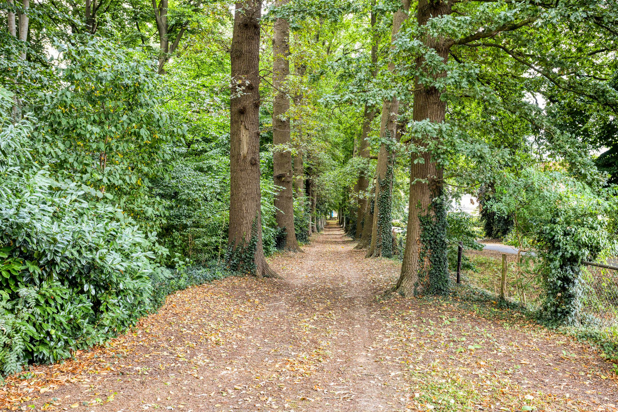 Photo 36 of Timmermansweg 23