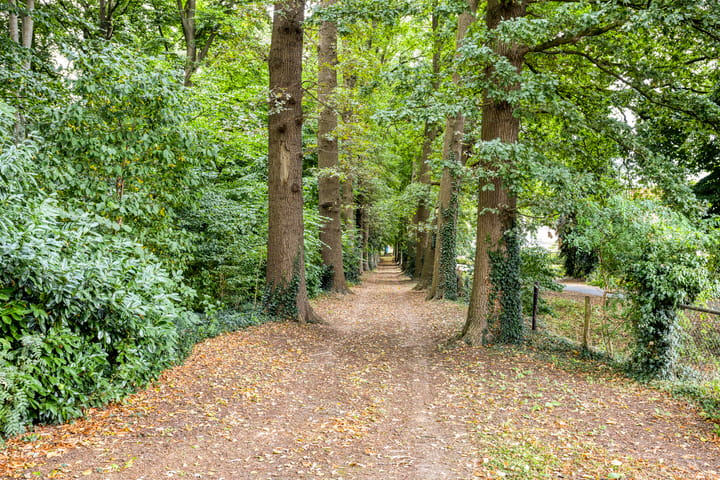 Foto 36 van Timmermansweg 23