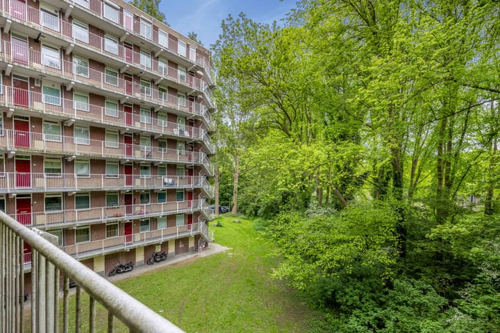 Photo 8 of Fluitekruidweg 51