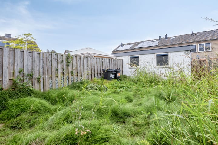 Foto 6 van Van Barenstraat 16